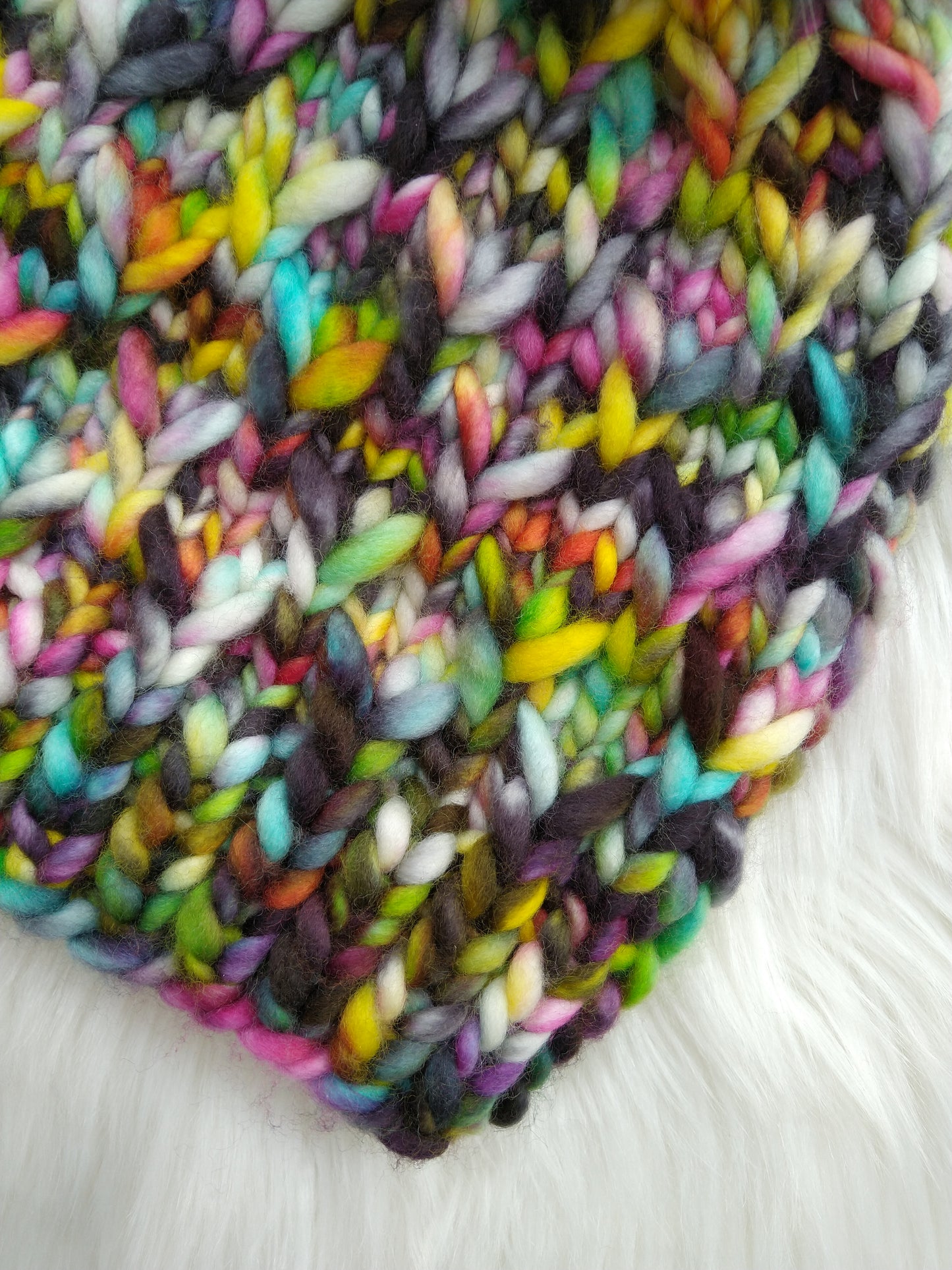 Rosewood Beanie (Skating Rink)